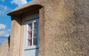 Tullecombe thatch roof disadvantages