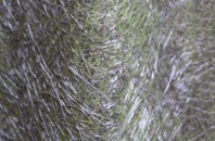 Tullecombe fibreglass roof work